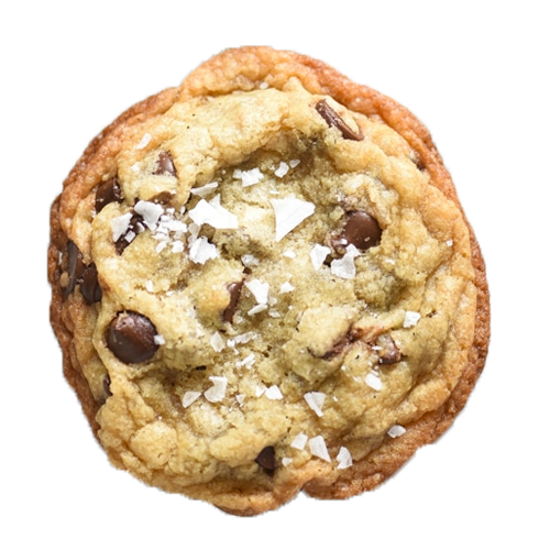 chocolate chip cookie